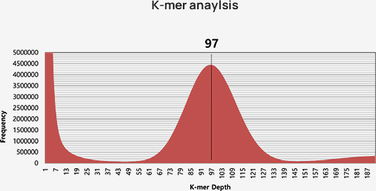 Standard Analysis