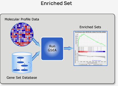 Advanced Analysis