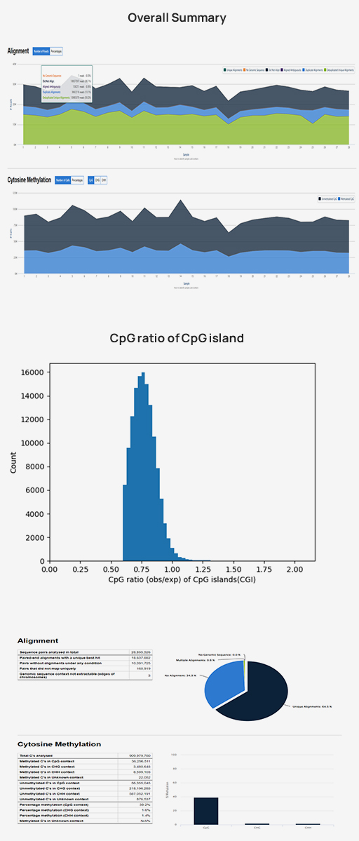 Standard Analysis