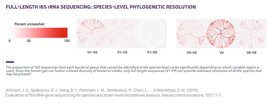 Full Length 16S rRNASequencing