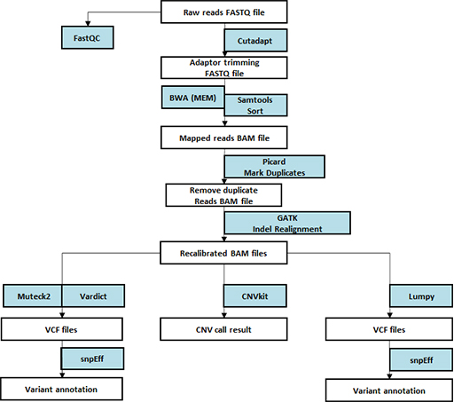 Clinical trial sample Analysis