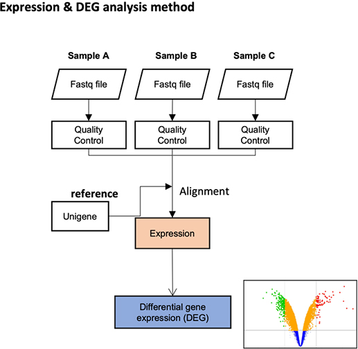 Standard Analysis