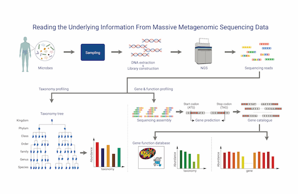 Shotgun Metagenomic Sequencing