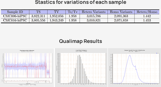 Standard Analysis