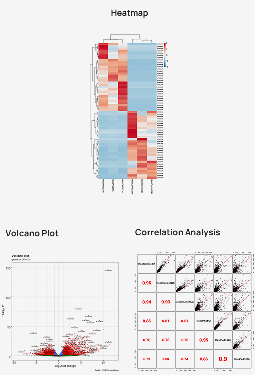 Standard Analysis