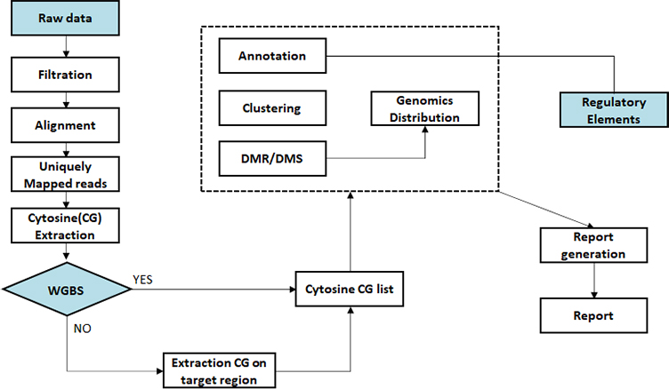 Methylation Sequencing