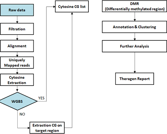 Bisulfate Sequencing