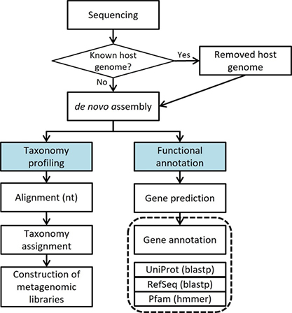 Shotgun Metagenomic Sequencing