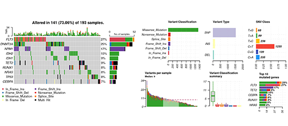 Advanced Analysis