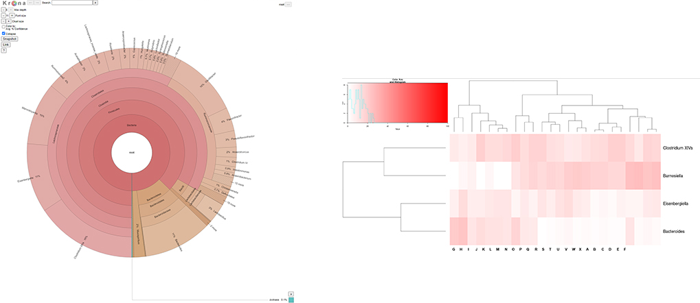 Standard Analysis