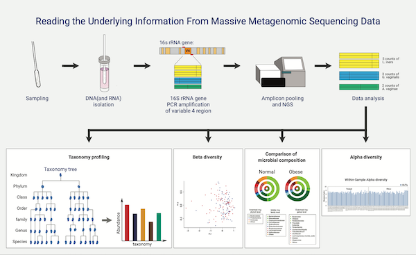 Amplicon Metagenomic Sequencing