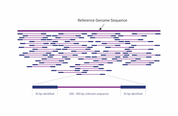 Whole Genome Reseqeuncing