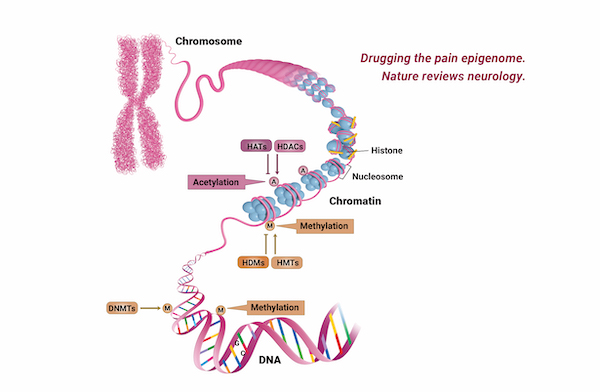 Methylation Sequencing